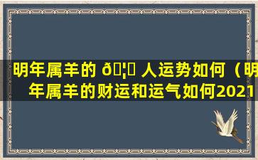 明年属羊的 🦈 人运势如何（明年属羊的财运和运气如何2021）